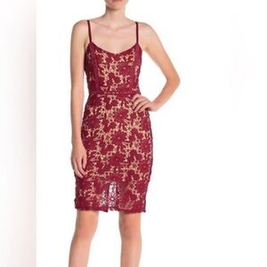 𝅺NWT Max & Ash lace Bodycon dress
